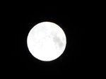 2019.02.20̖X[p[[
