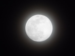 2019.03.20 旧暦如月の小望月（幾望の月）　