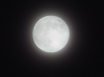 2019.04.19 퐶̖i퐶̏\܁j
