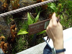 DSCF1430.JPG