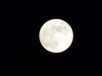H̖]E@2019.06.17