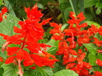 DSCF2090.JPG