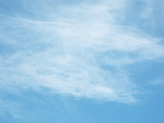 w_