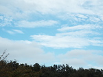 DSCF2953.JPG