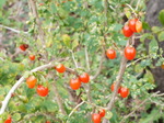 DSCF3007.JPG
