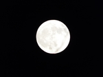 2019.11.12 17:26 _\ŽiTԑOj