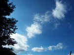 ؂ꂽw_EQ_