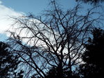 DSCF3716.JPG