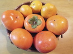 伊勢原土産の蜜柑と富有柿