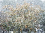 ł54NU菉A䂪❄