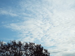 2016.12.03 ̋