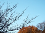 2016.12.12 ̒