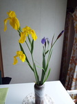 Ҋƞwڂ̉Ԋ