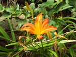 DSCF6310.JPG