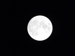 DSCF6706.JPG