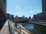 剪苌sX
