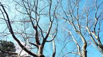 DSCF7358.JPG