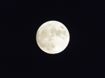 t̏\܁@\ܖ̌EH̖ 2020.10.01 18:04