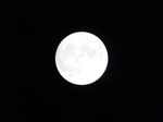 t̏\܁@\ܖ̌EH̖ 2020.10.01 20:16
