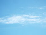 2020.11.28̋ w_