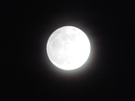 _̏\ZE\ŽE]E@2020.11.30 18:43