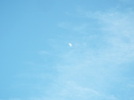 t̏\̌Ɗw_@2021.01.22