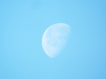 t̓̌@Ľ@2021.02.03 08:33
