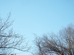 2021.02.23̉̒̋