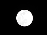 旧暦睦月の十六　十六夜の月（満月）・スノームーン　2021.02.27
