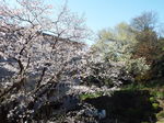 䂪̐gƗR̎R@2021.03.26