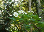JWC`Si䕁j