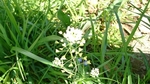 DSC_3977.JPG