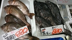 南部市場神水産の真鯛と黒ソイ
