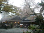 吉水神社