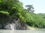 天竜川