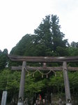 戸隠神社中社の鳥居と三本杉