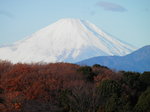 世界文化遺産・富士